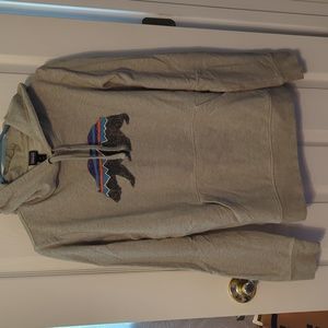 Patagonia | Green Heathered Bear Mountain Sweatshirt Hoodie